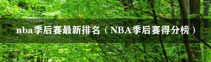 nba季后赛最新排名（NBA季后赛得分榜）
