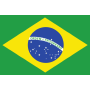 巴西队徽